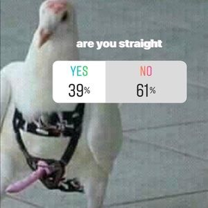 Meet your Posher, Bree